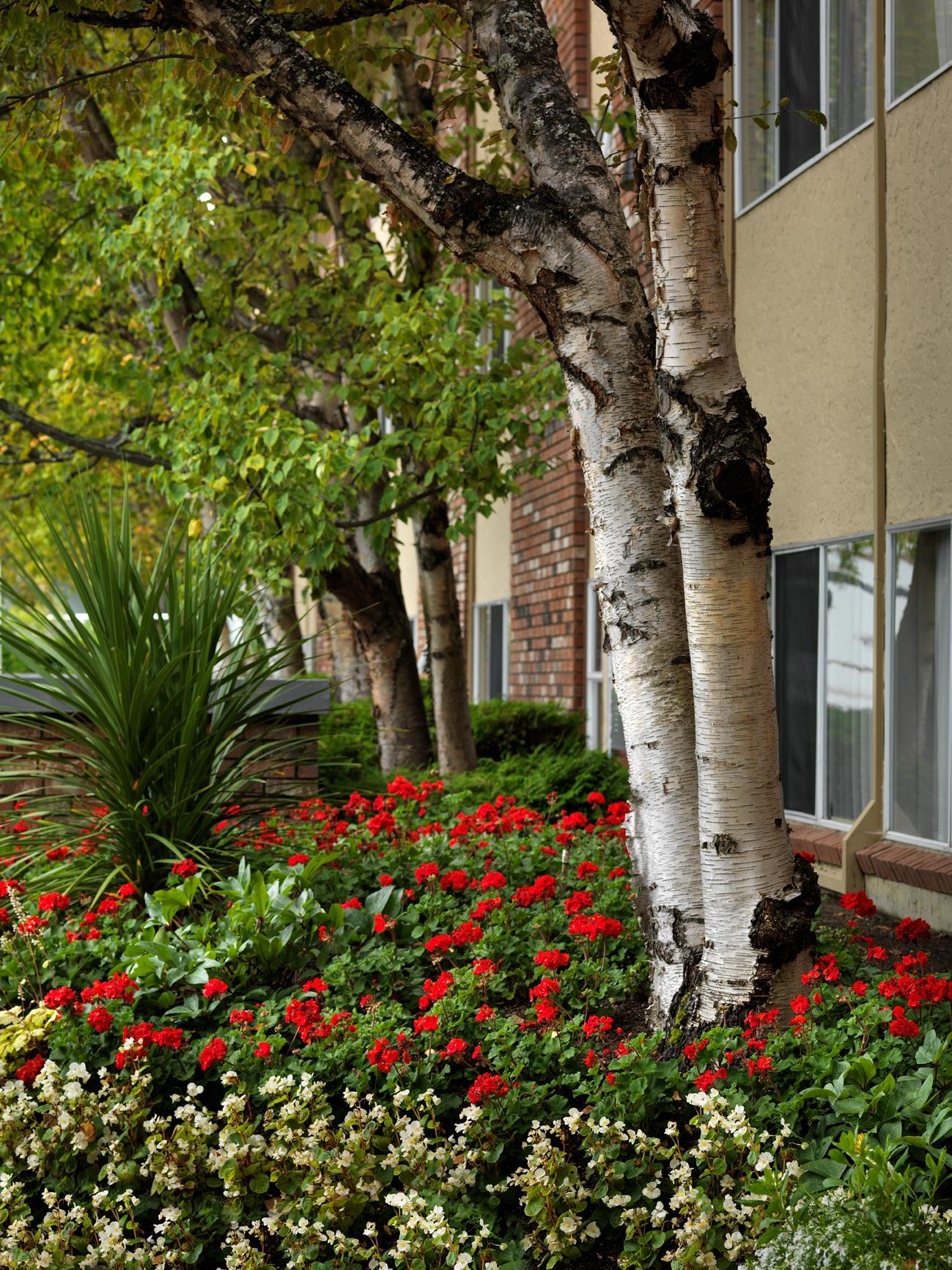 Royal Scot Hotel & Suites Victoria Exteriör bild